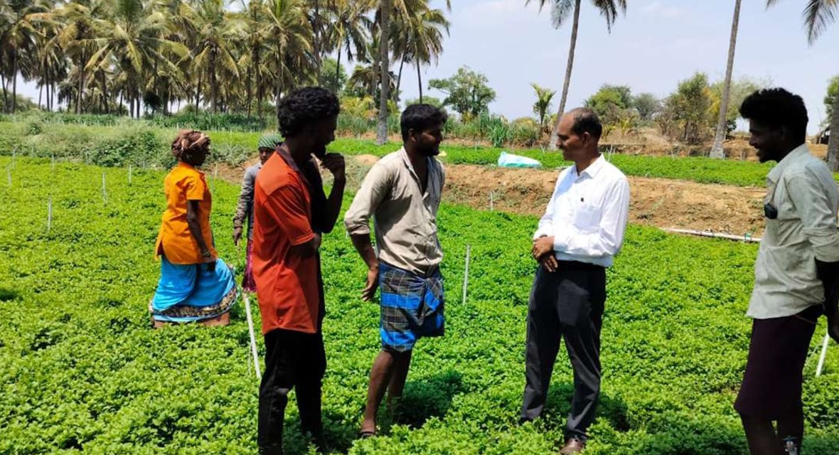 agriculture-development-program